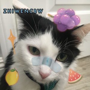 Meet my petite ambassador Jupiter